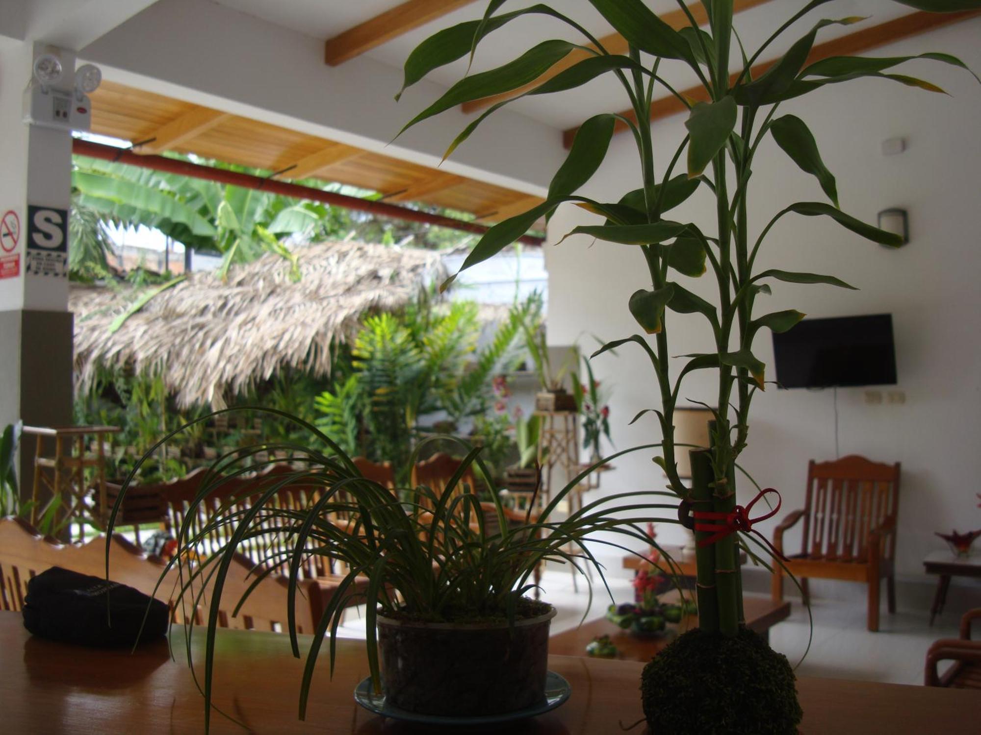 Altavista Casahotel - Asociado Casa Andina Moyobamba Kültér fotó